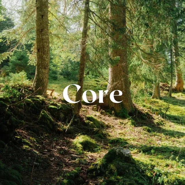 Preview of Adrien Sanguinetti- Core